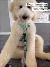 "Santorini" Adventure Strap Harness