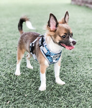 Palm Vibes Harness (Seconds)