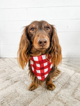 Barking All the Way Reversible XMAS Bandana